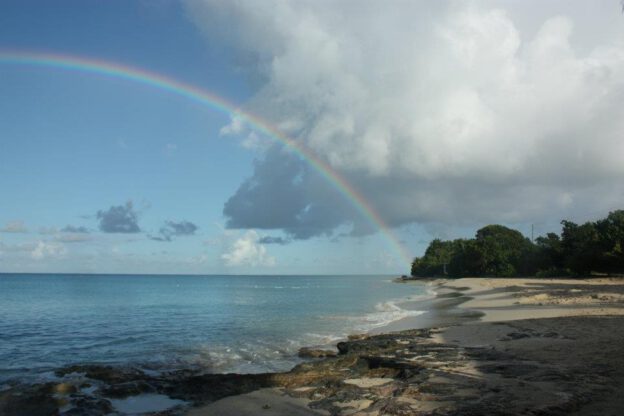 Rainbow Beach 11