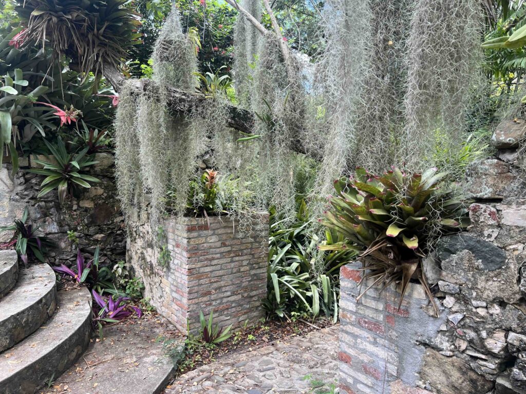 Garden of Lights Cocktail Walk