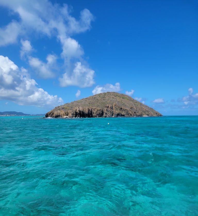 20220330 103301 768x838