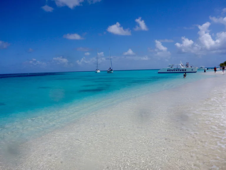 Buck Island 5 768x576