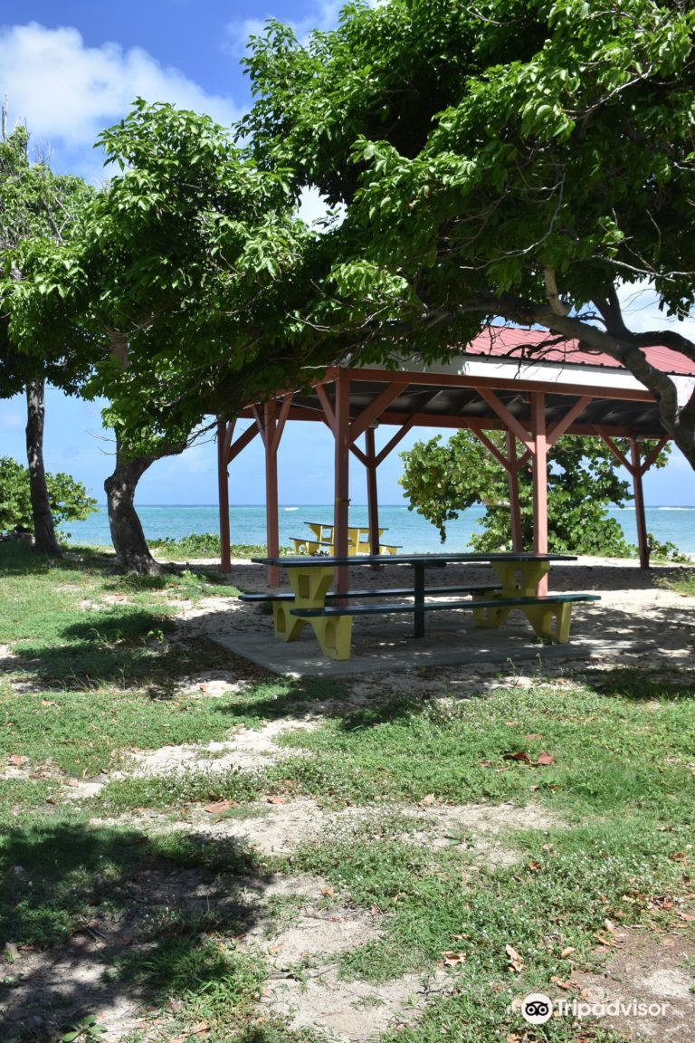 Cramers Park Beach 4 768x1152