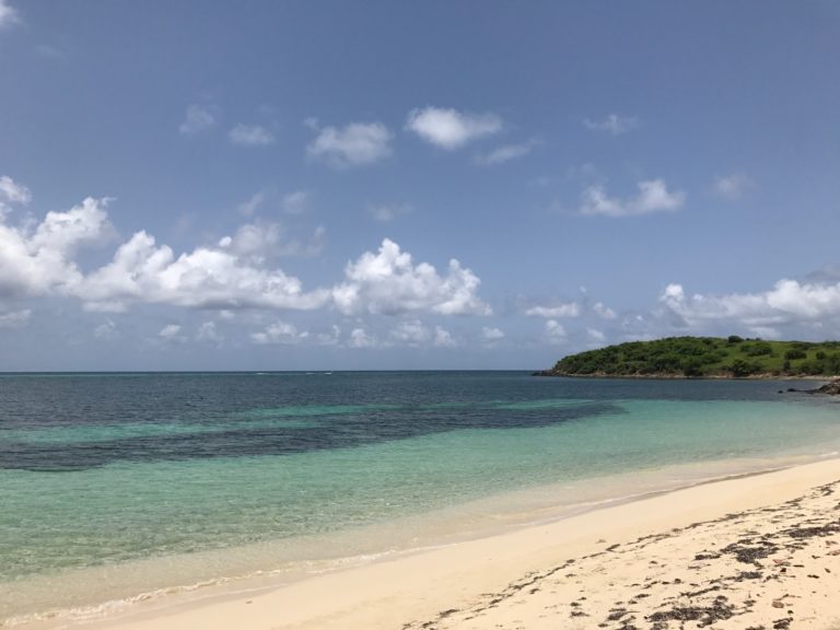 Cramers Park Beach 5 768x576