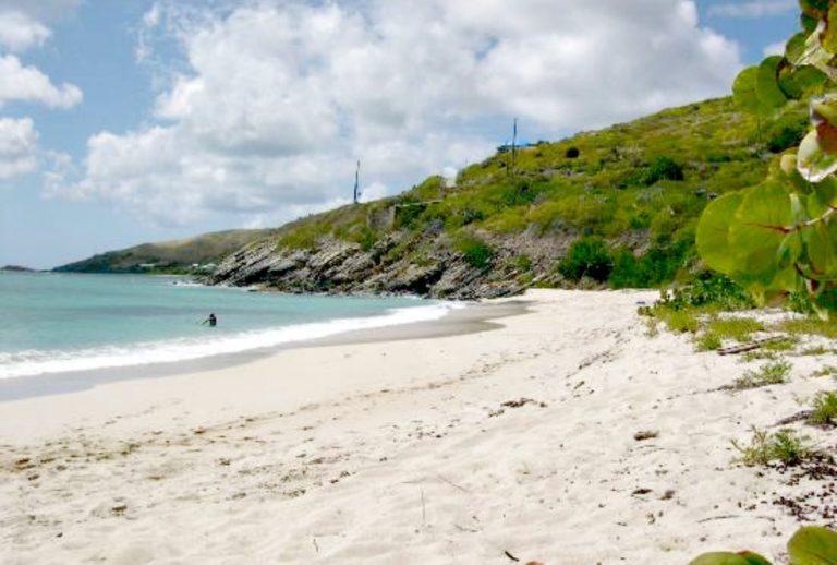 Grapetree Beach 1 768x518