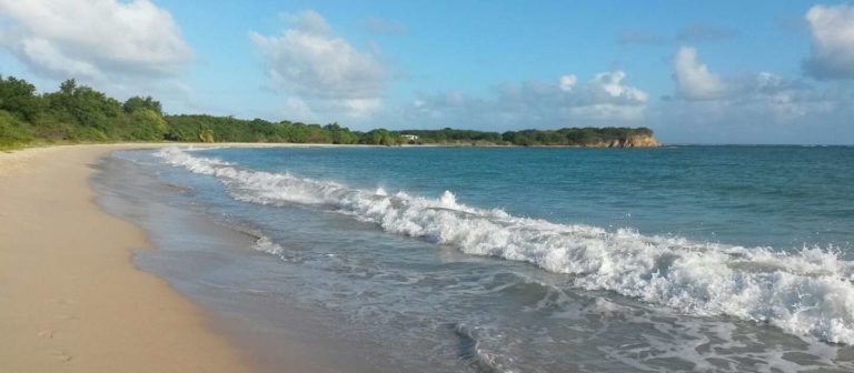 Hay Penny Beach 1 768x336