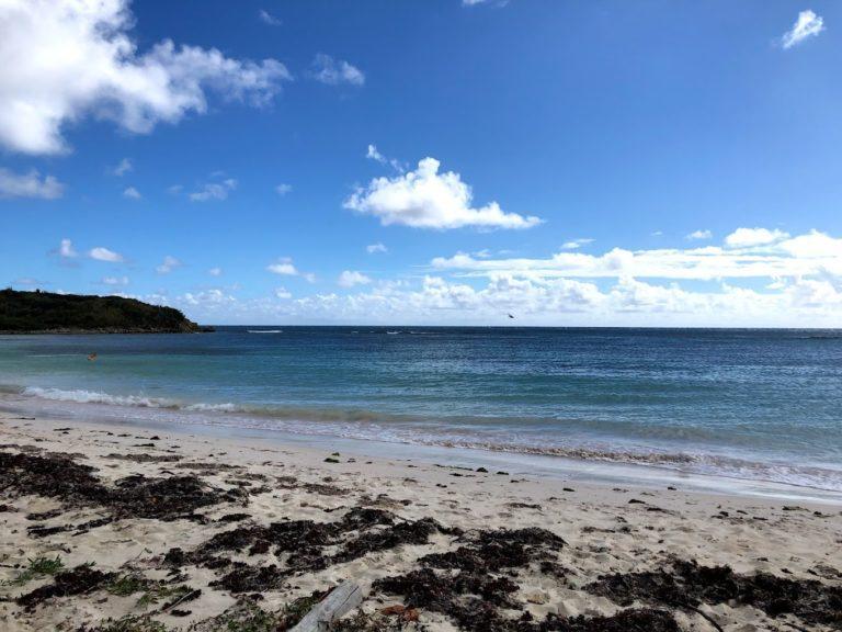 Jack A Beach 1 768x576