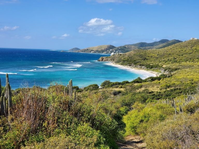 Jack A Beach 5 768x576