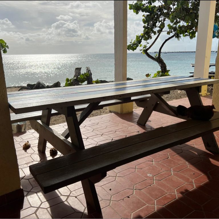 Louie and Nachos Beach Bar 9 768x770