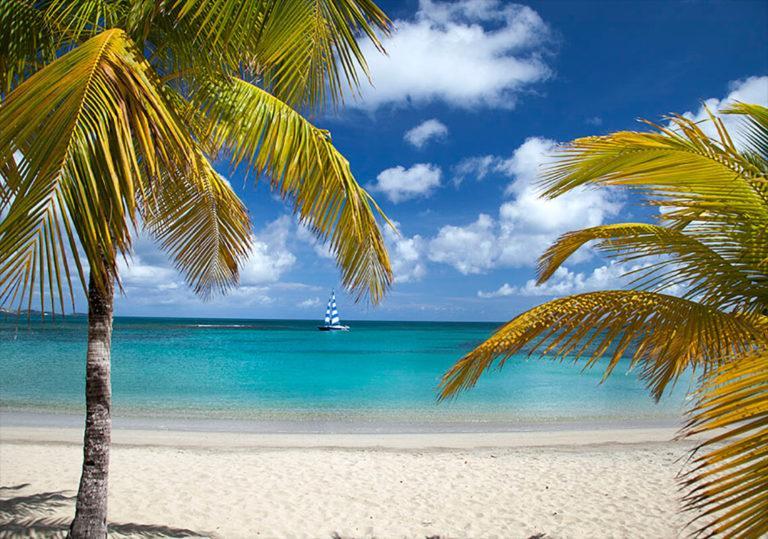 Mermaid Beach 2 768x539