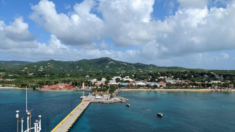 PXL 20221122 175614527 768x432