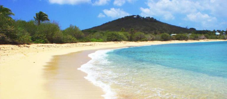 Shoys Beach 1 768x336