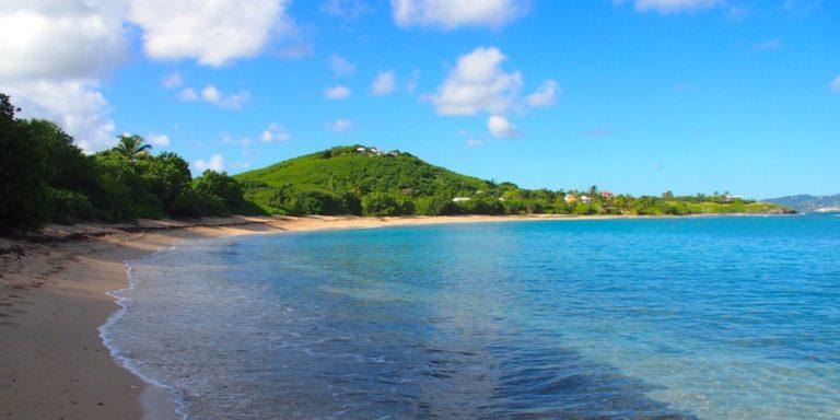 Shoys Beach 2 768x384