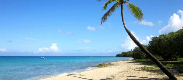 Sprat Hall Beach 1 768x336