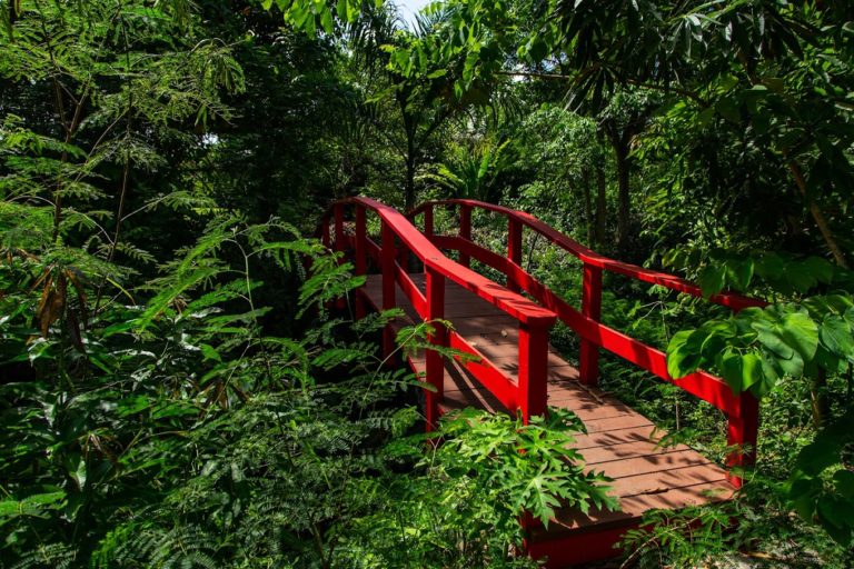 St George Village Botanical Gardens 1 768x512