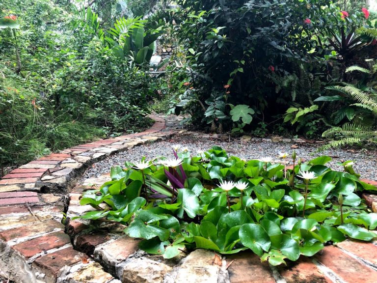 St George Village Botanical Gardens 5 768x576