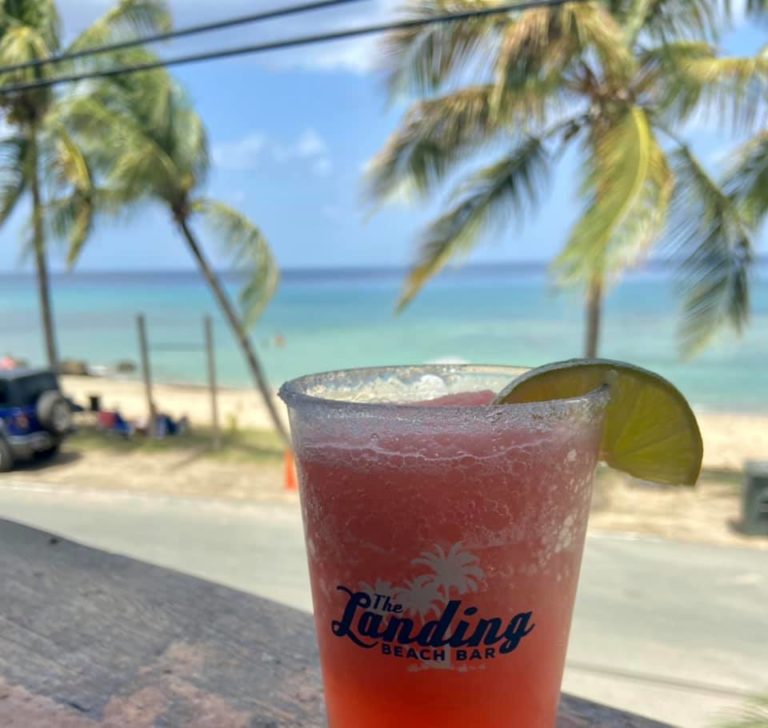 The Landing Beach Bar 13 768x728