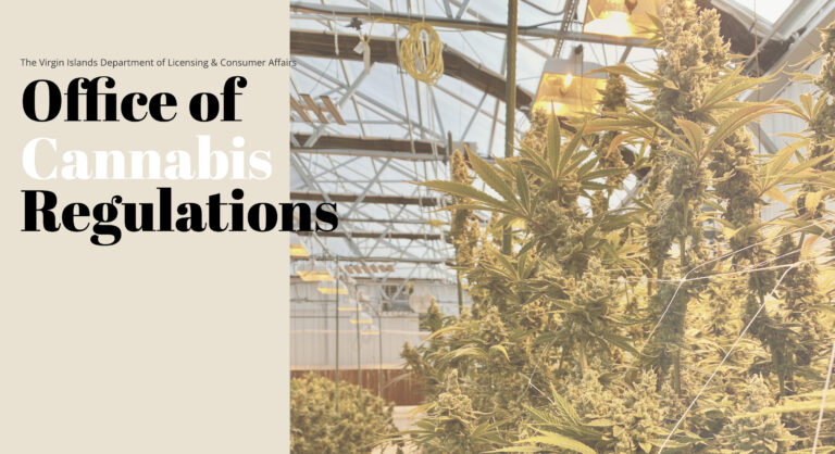 Virgin Islands Office of Cannabis 768x418