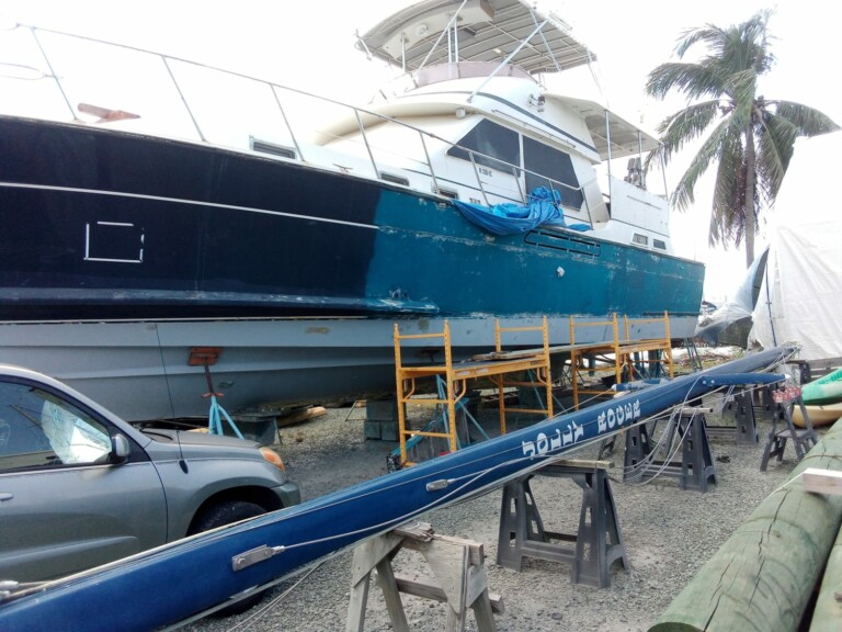 IMG 20240219 WA0000 768x576