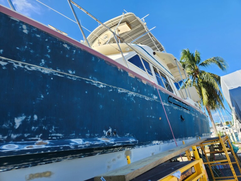 IMG 20240219 WA0004 768x576