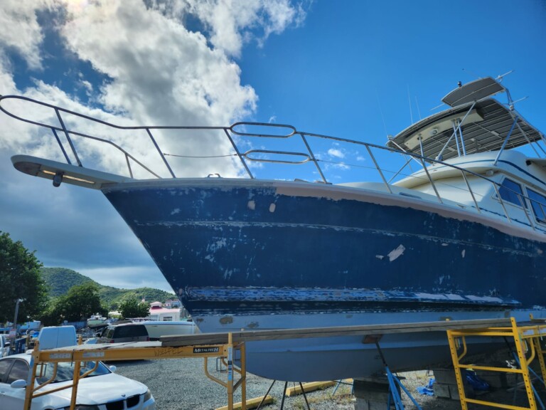 IMG 20240219 WA0005 768x576