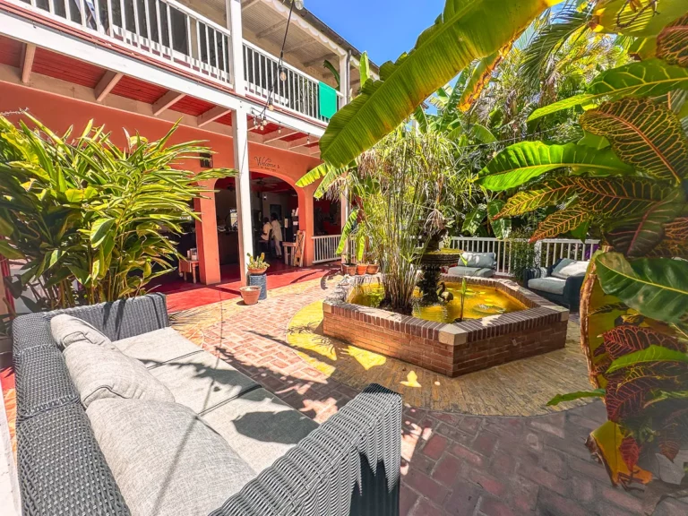 Pampered VI 3 768x576