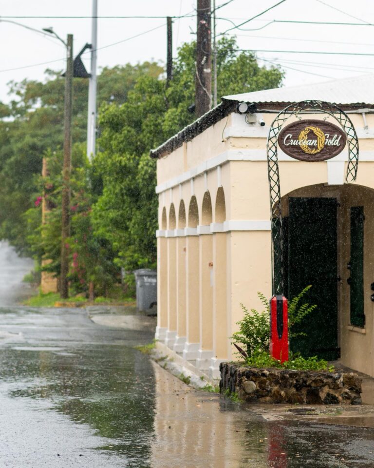 crucian cafe7 768x960