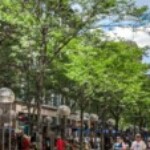 Profile picture of CrucialCrucian